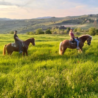 Balade à cheval d'1h30 avec apéritif hors de Florence