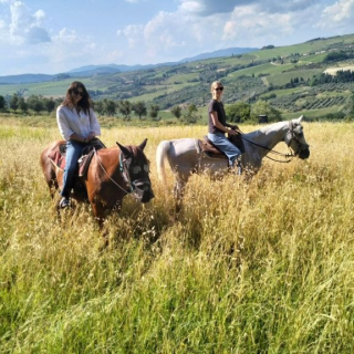  Promenade parmi les collines à l'extérieur de Florence 