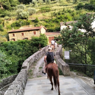 Longue balade à cheval de 2 heures avec apéritif à Pelago