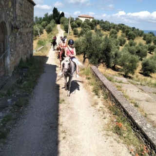  Le chemin le long du mur de pierres sèches 