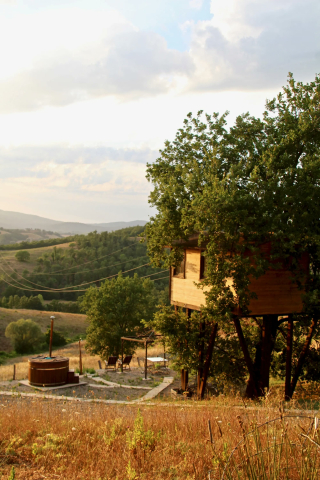 Notte nella casa sull'albero per due in Maremma