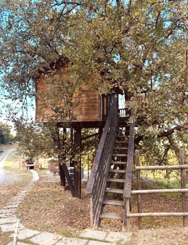 La scala della casa sull'albero