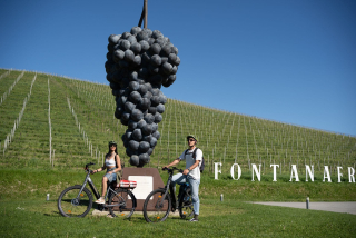 Location quotidienne de vélos électriques dans les Langhe à Serralunga d'Alba