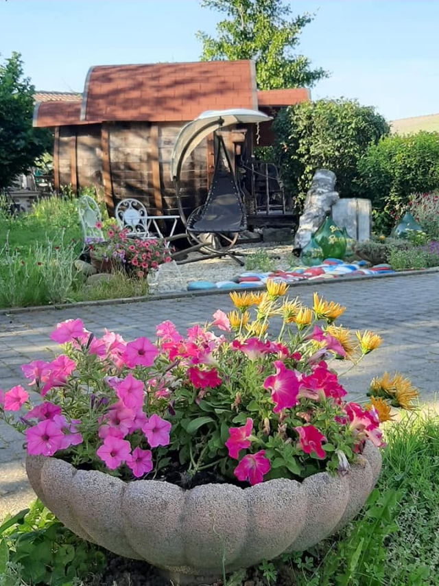  The barrel among the flowers in the garden 