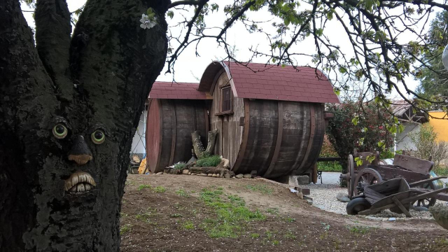  The barrels and the tree with the face 