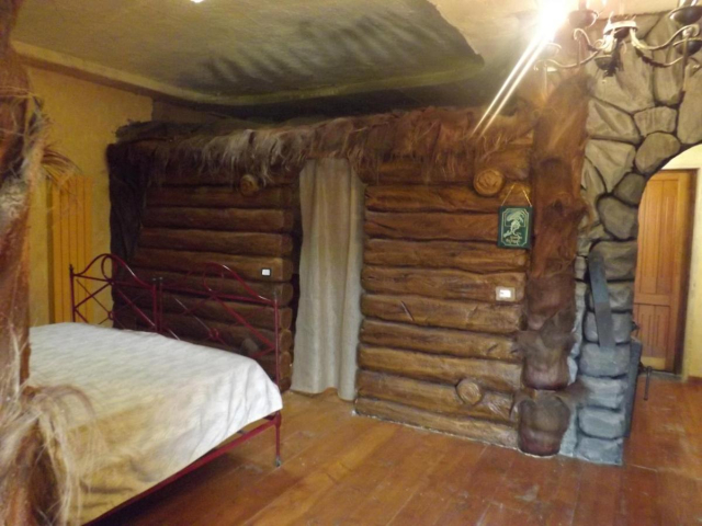  The room with the log walls 