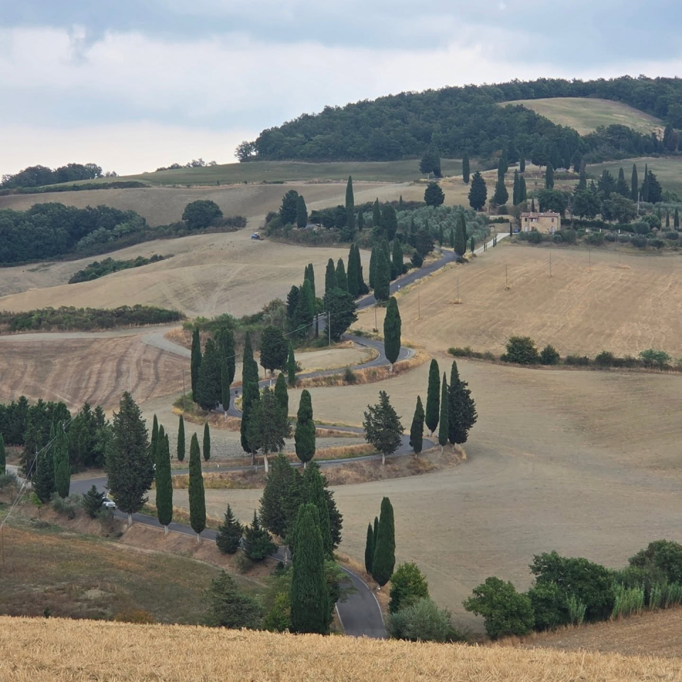 Quad in fila tra i cipressi