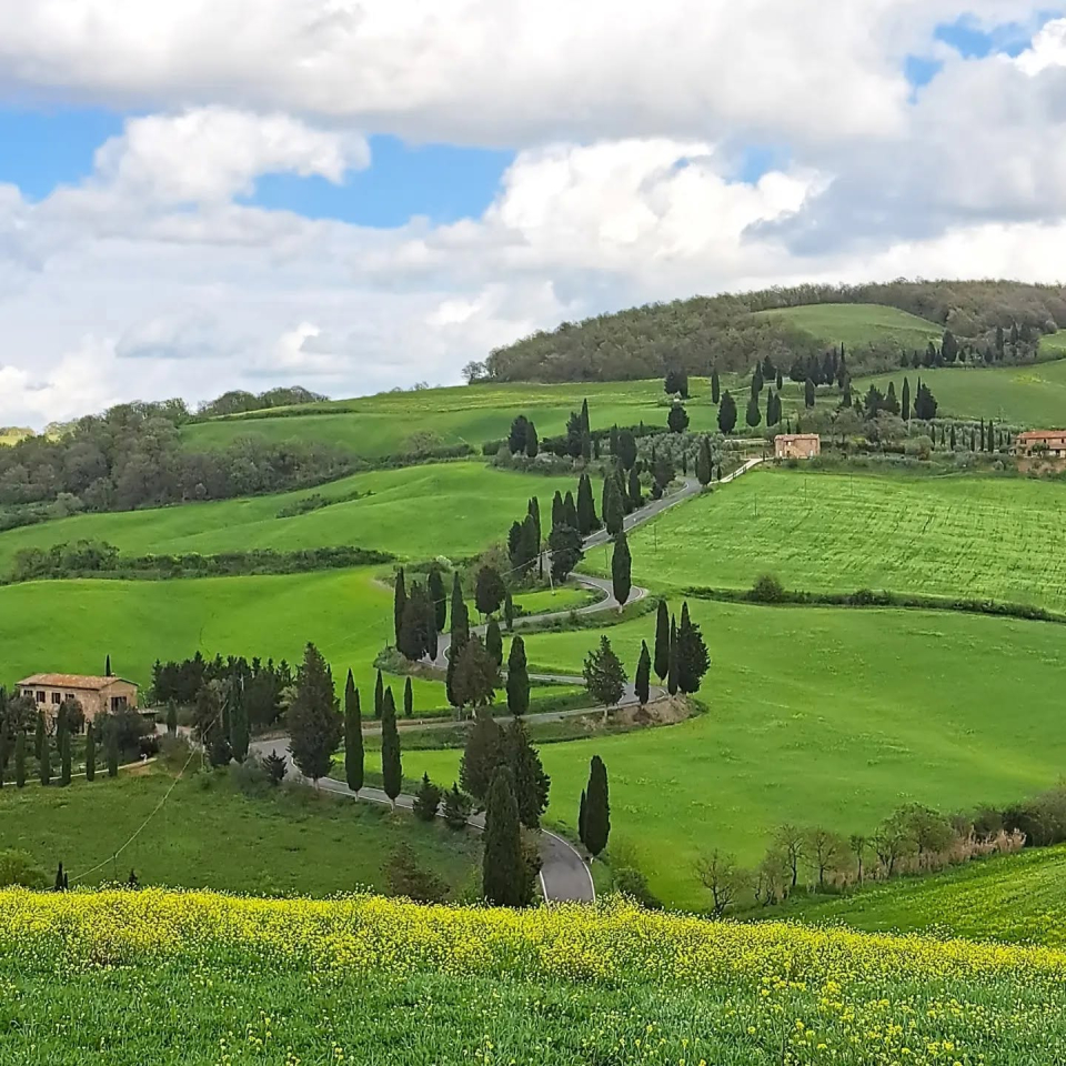 I tornanti dei cipressi in primavera