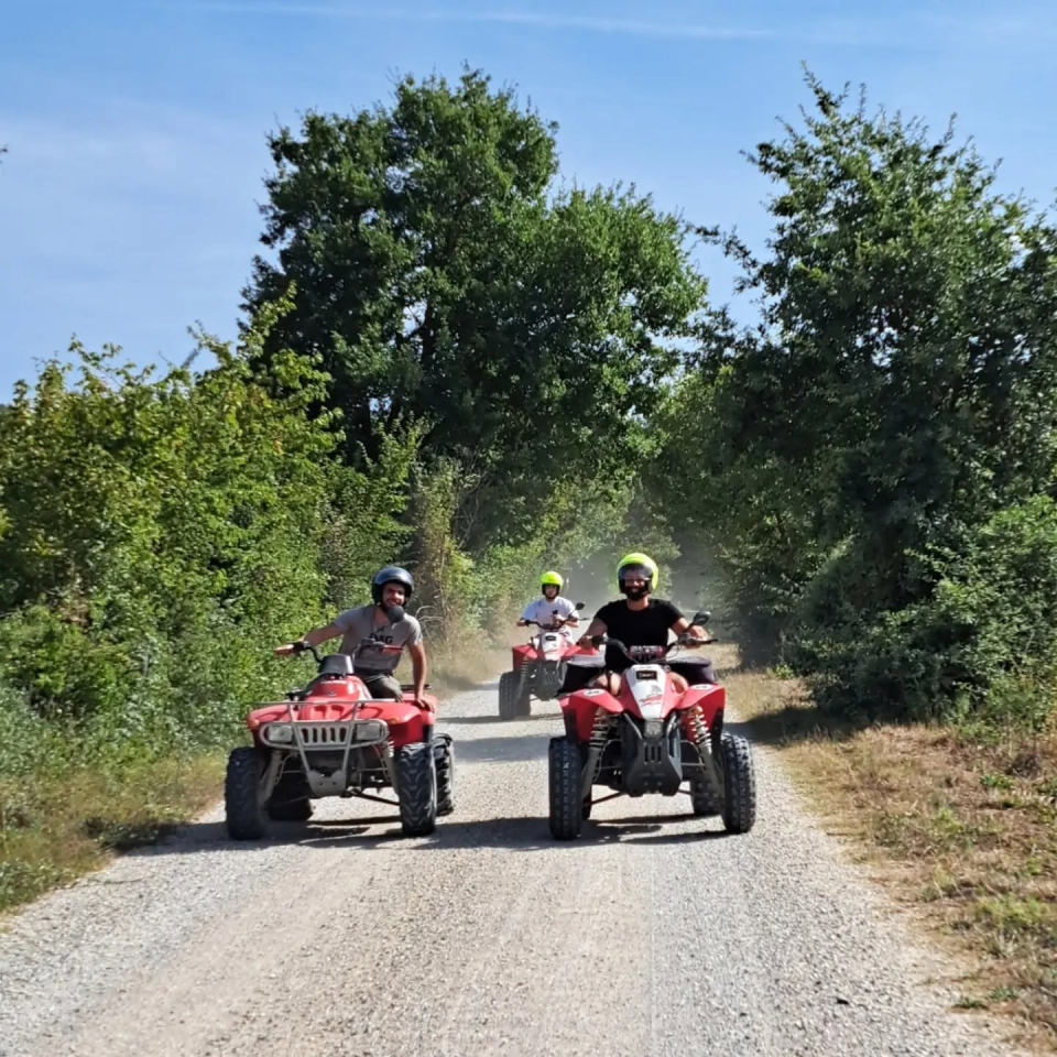 Due quad sul viale alberato
