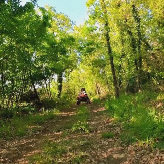 Tour in quad di 2 ore intorno a Pienza, quad per due