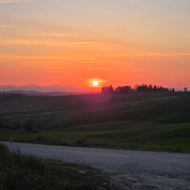 Il sole che tramonta sulla strada bianca
