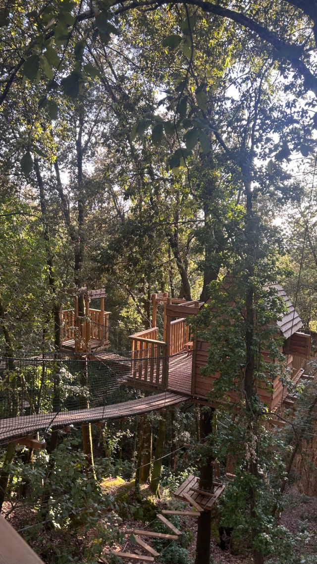La casa sull'albero della tenuta