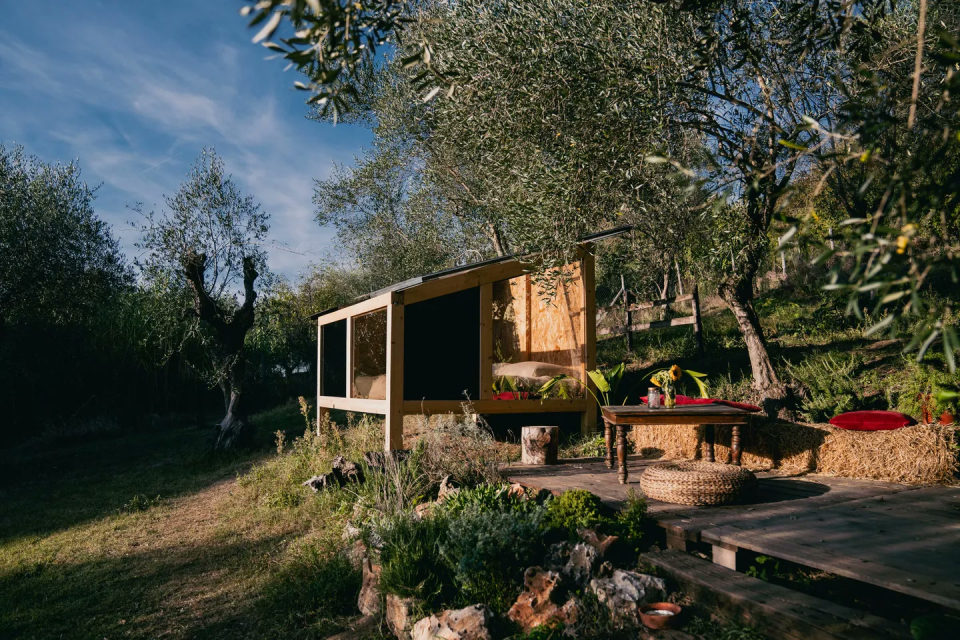 La vetrata nel bosco di Calcata