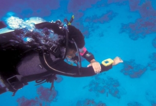 Bussola per orientarsi sott'acqua