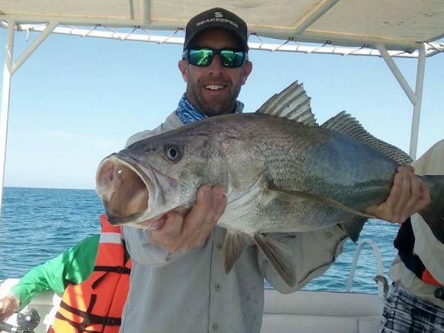 Puerto Peñasco, un luogo ideale per praticare la pesca sportiva 