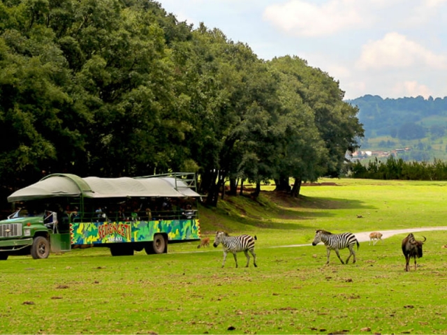 Ingresso allo zoo e spettacolo a Chapa de Mota