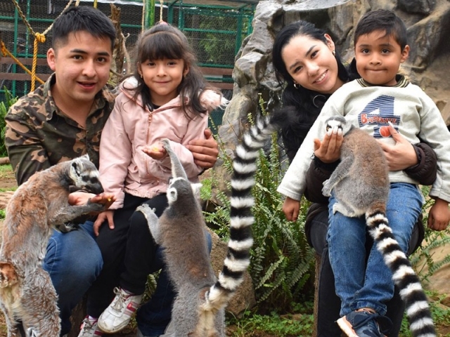 Accesso generale allo zoo di Tlalpan per 1 giorno