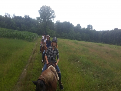 Passeggiata a cavallo nel Parco del Ticino (2h)