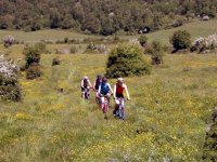 Excursión en bicicleta de montaña 