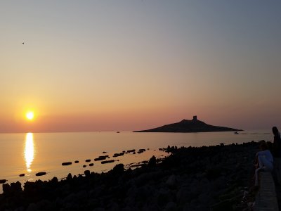 Noleggio Gommone 40cv 8h Isola Delle Femmine Offerte