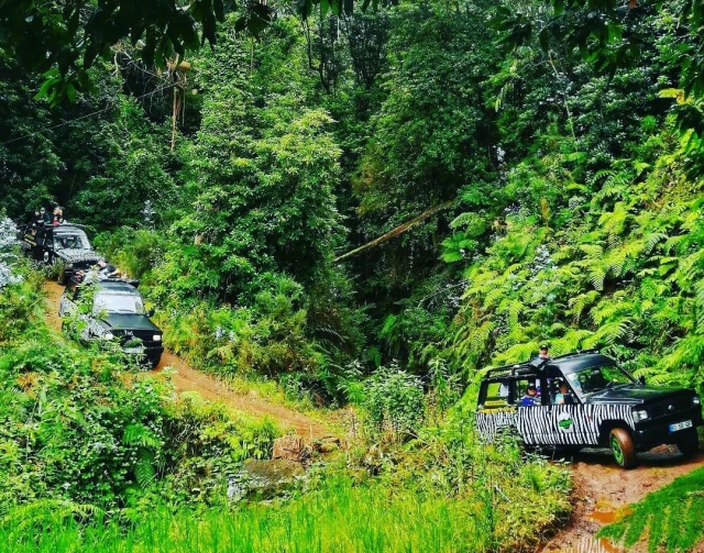 Tour in 4x4 del nord-ovest di Madeira (7h) Bambini