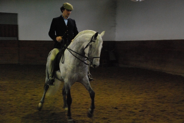 Lezione di equitazione 2 adulti 2 bambini Aveiras de Cima