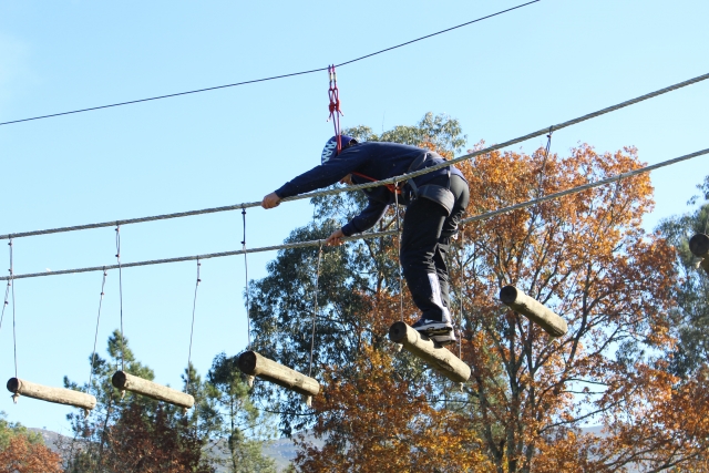 Circuito di arrampicata sugli alberi e zip line di Ponte de Lima 90 min