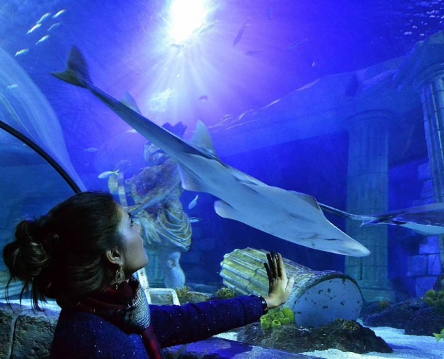 Ingresso al Sea Life Porto