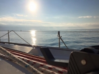 Escursione in barca isola del Giglio 3 giorni