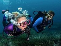 Tauchen im Meer zur Erlangung der Open Water Diver-Zertifizierung 