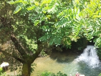  Excursión de observación de aves en la provincia de Salerno 