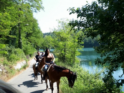 Horse Paradise