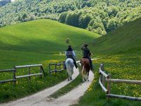  Emerald green scenery 