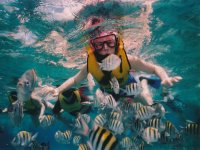  snorkeling avec des poissons ! 