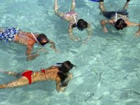  Children snorkeling