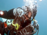  buceo