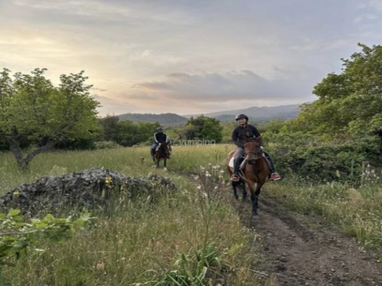 Etna Horse Riding, prezzi e prenotazioni 2024