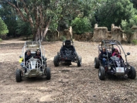 in buggy con gli amici