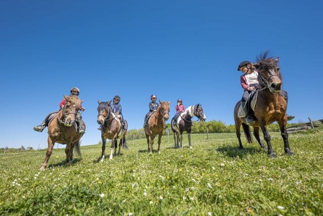 Giro sul Pony Francia