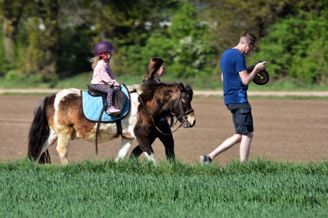 Giro in pony per bambini 45 min a Vulbens