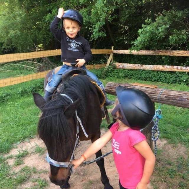Pony a portata di mano per bambini 30 minuti a Maringes
