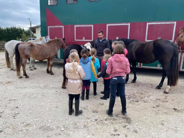 Giro in pony a portata di mano 30 minuti a Berson