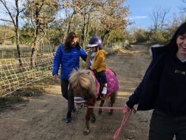 Giro in pony a portata di mano - 30 min - Brignoles