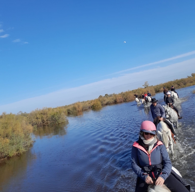 Giro a cavallo privato per cavalieri esperti - Camargue - 1h30