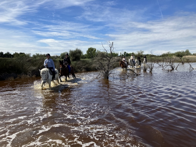 Passeggiata a cavallo in Camargue + aperitivo - 2h