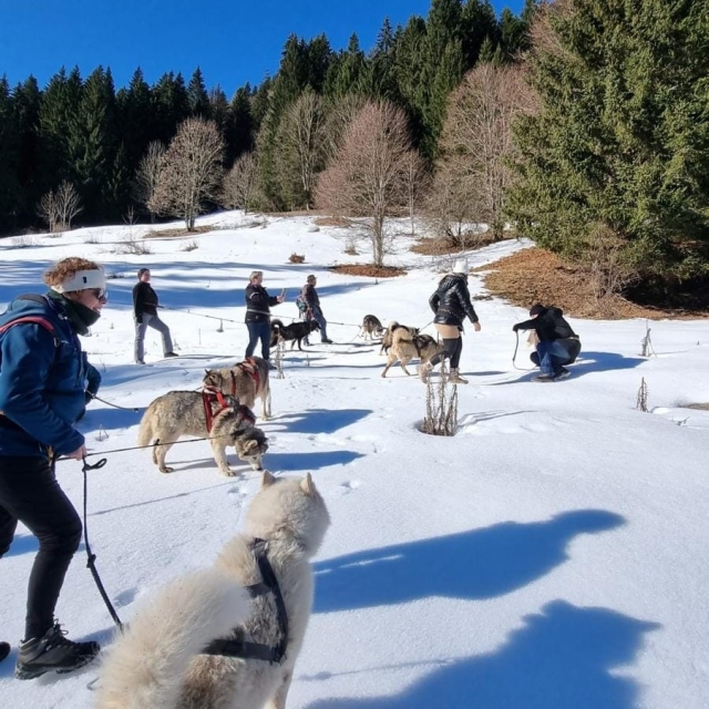 Escursione Cani nel massiccio del Roc d'Enfer - 2h
