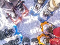 Children's daytime snowshoe hike in the Piave 2 and a half hours