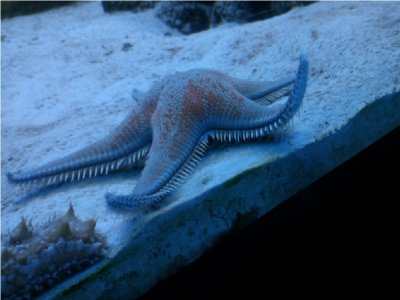 Geführte Tour durch das Salento Aquarium in Lecce