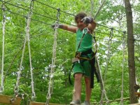 tree-climbing sersale