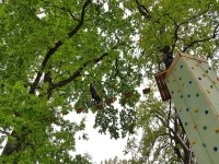  adventure park in grottaferrata 